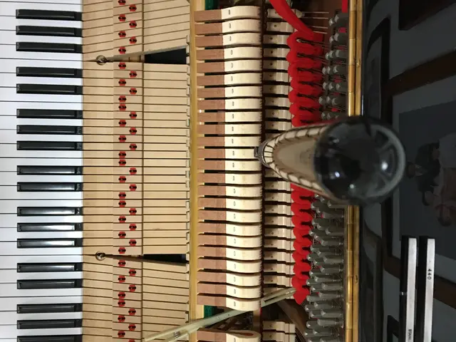 ♪姫路を拠点に1979年よりピアノ調律しております♪調律後ジャズ生演奏します!サービスの画像