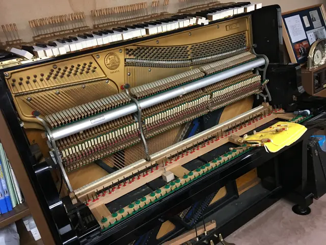 ♪姫路を拠点に1979年よりピアノ調律しております♪調律後ジャズ生演奏します!サービスの画像