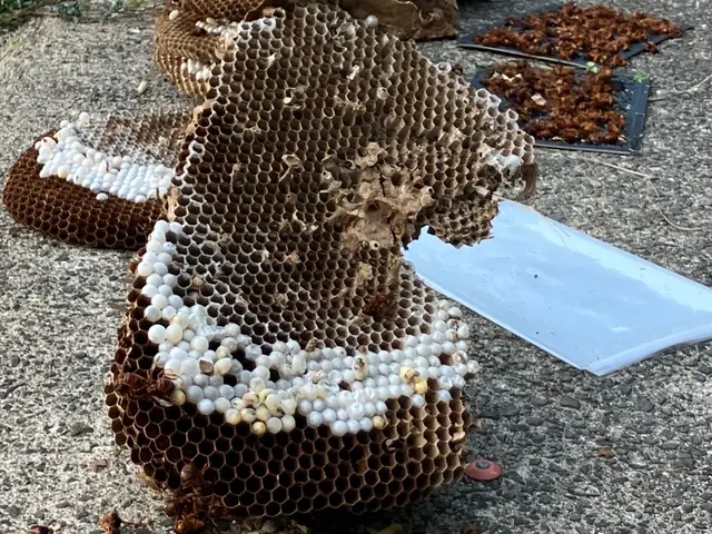 プロの技術でご満足いただけるように心を込めて作業いたしますサービスの画像