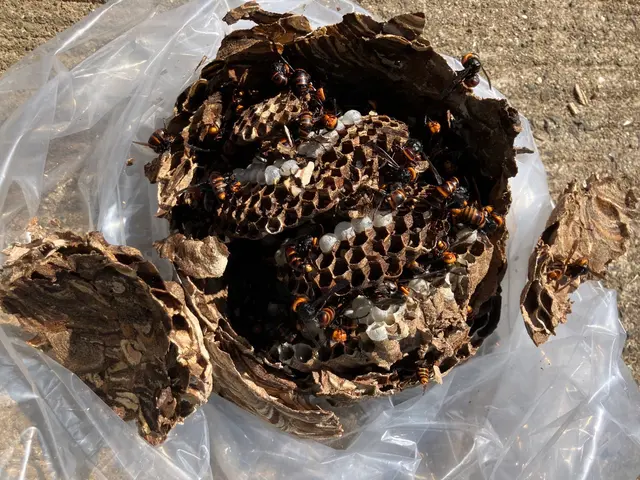 プロの技術でご満足いただけるように心を込めて作業いたしますサービスの画像