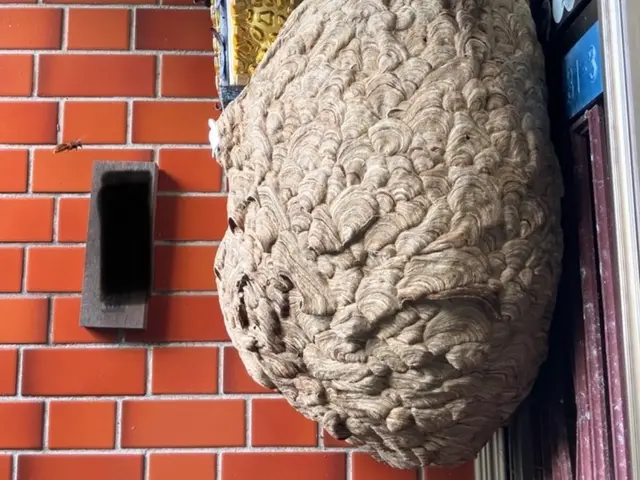 プロの技術でご満足いただけるように心を込めて作業いたしますサービスの画像