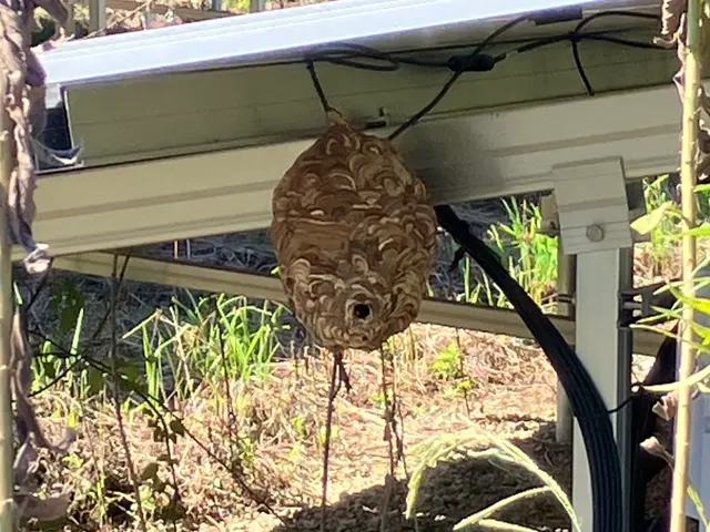 プロの技術でご満足いただけるように心を込めて作業いたしますサービスの画像