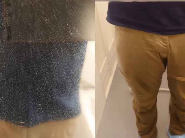 【猫好き★秋田出身25歳】ファンまで分解洗浄★カビと水アカを4種類の洗剤で落とすサービスの画像