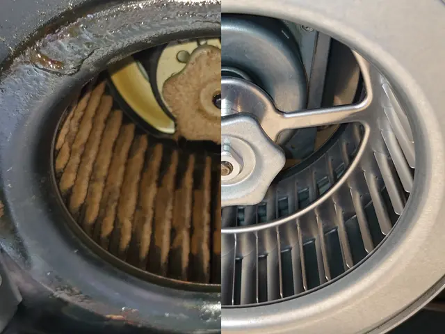 【猫好き★秋田出身25歳】ファンまで分解洗浄★カビと水アカを4種類の洗剤で落とすサービスの画像