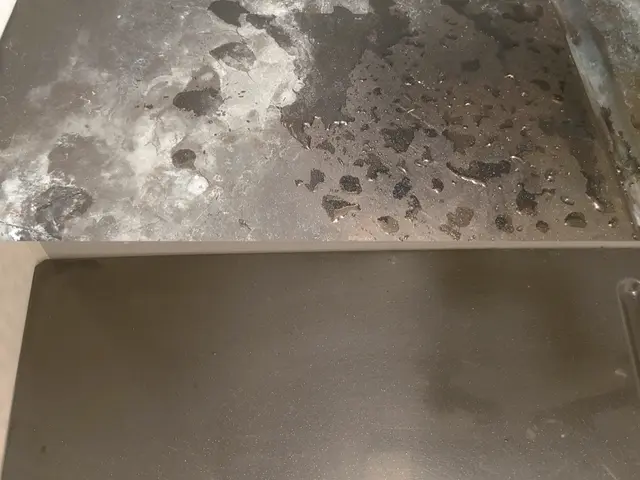 【猫好き★秋田出身25歳】ファンまで分解洗浄★カビと水アカを4種類の洗剤で落とすサービスの画像