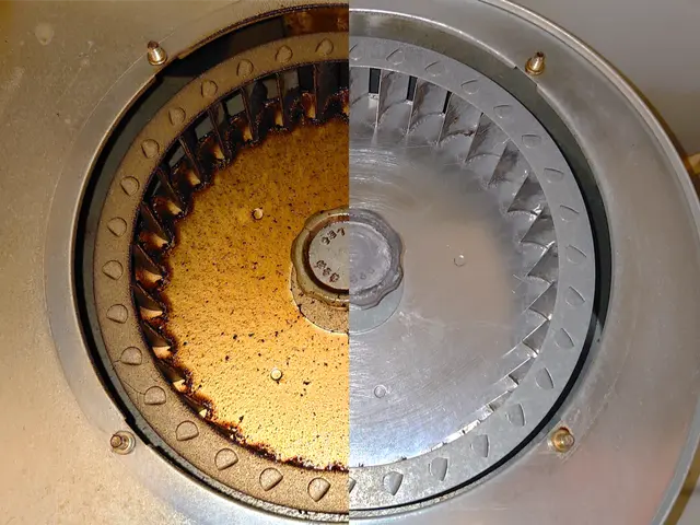 【猫好き★秋田出身25歳】ファンまで分解洗浄★カビと水アカを4種類の洗剤で落とすサービスの画像