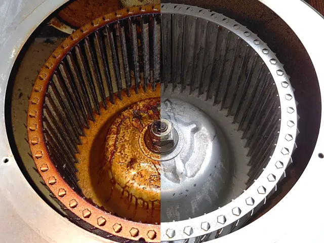 【猫好き★秋田出身25歳】ファンまで分解洗浄★カビと水アカを4種類の洗剤で落とすサービスの画像