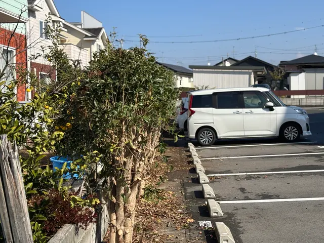 庭の木、伐採お任せください！サービスの画像