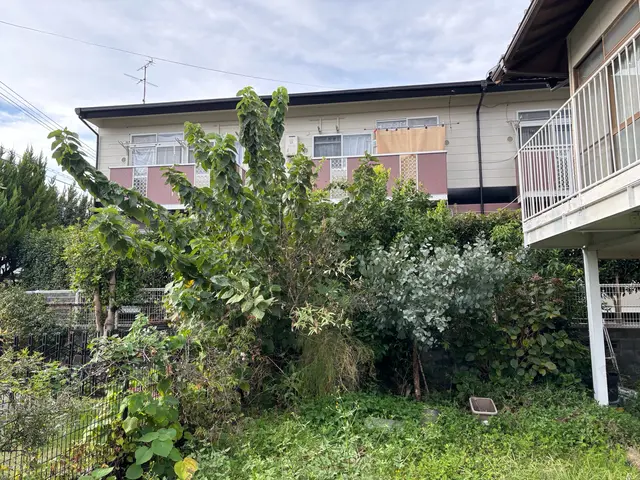 庭の木、伐採お任せください！サービスの画像