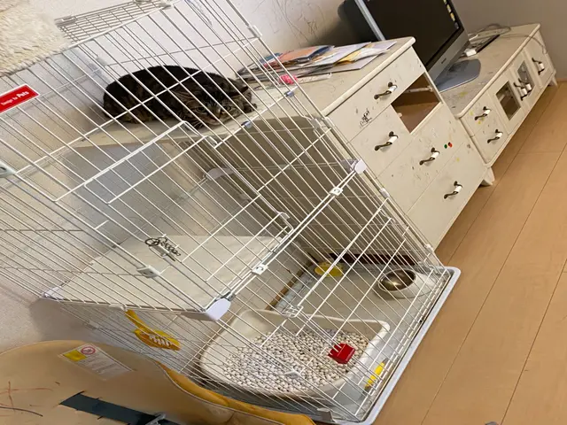 【熊本市発】作業にご不満の場合は無料で追加対応も行います！サービスの画像