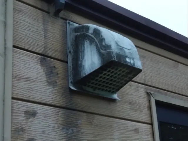 蜂の巣駆除サービスの画像