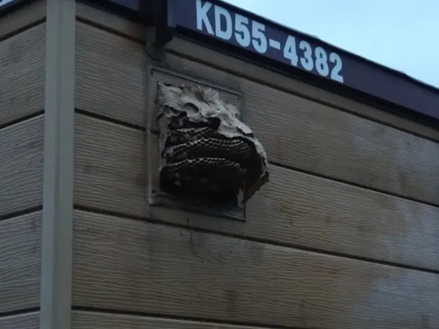 蜂の巣駆除サービスの画像