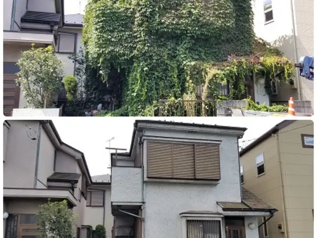 【三重県発】伸びて厄介なツタ除去 お任せください！ 無料お見積もり可能です。サービスの画像