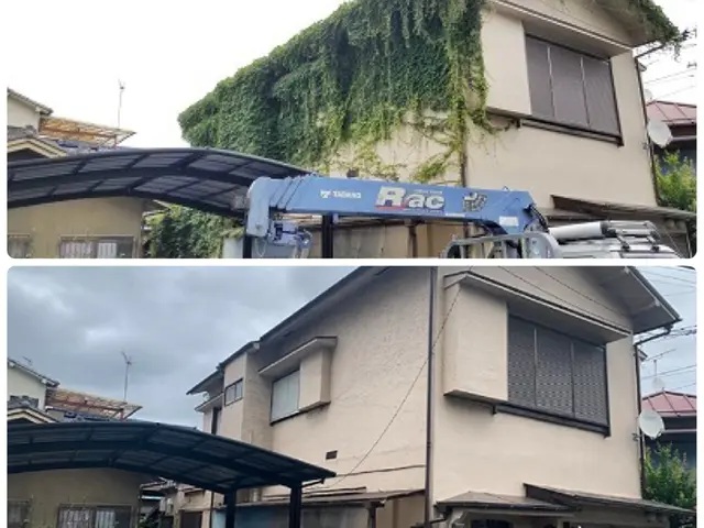 【三重県発】伸びて厄介なツタ除去 お任せください！ 無料お見積もり可能です。サービスの画像