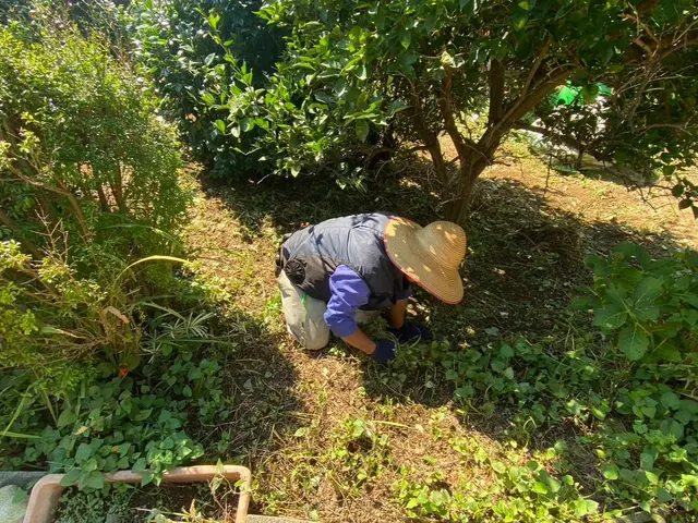 【業歴15年の実績】年中無休◎夜10時まで対応可能◎対応地域外も対応可能サービスの画像