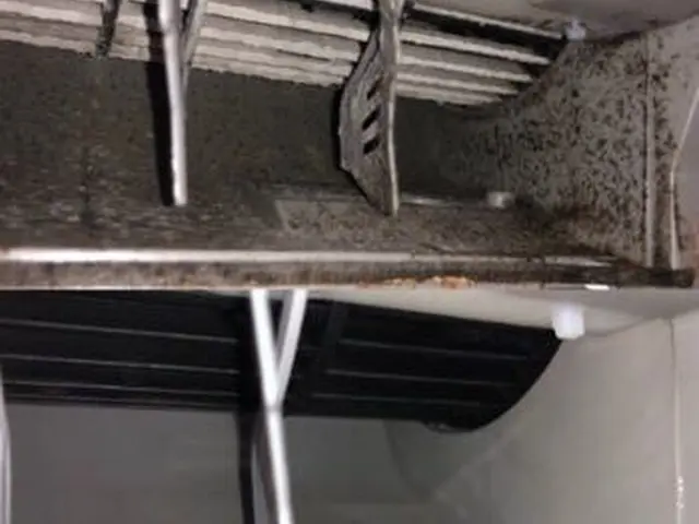 創業21年！【プロの徹底洗浄で快適空間】エアコン本来の風で赤ちゃん、ペットも安心サービスの画像