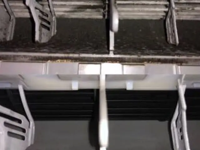 創業21年！【プロの徹底洗浄で快適空間】エアコン本来の風で赤ちゃん、ペットも安心サービスの画像