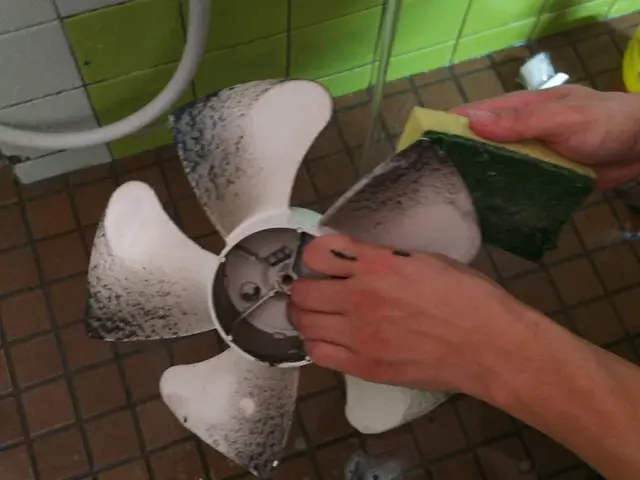 分解洗浄で徹底的にキレイ♪《プロペラタイプ》サービスの画像