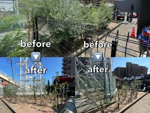 【庭木の剪定】お気軽にご相談くださいませ！サービスの画像