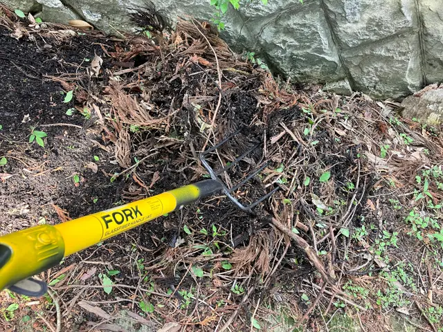 落ち葉そうじサービスの画像