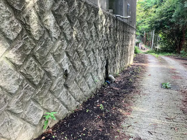 落ち葉そうじサービスの画像