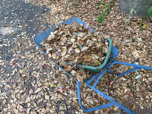 落ち葉そうじサービスの画像