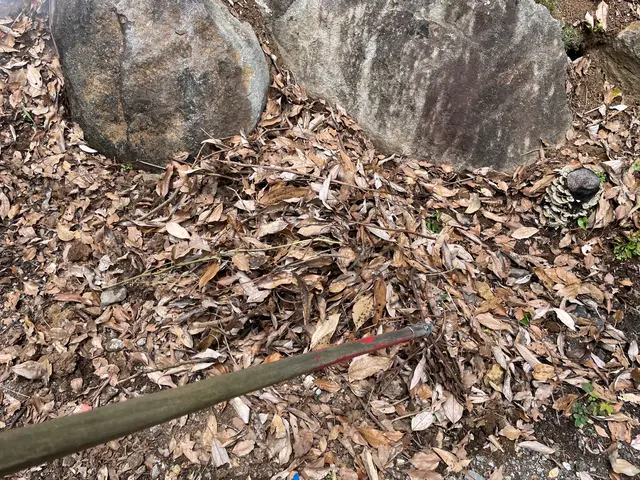 落ち葉そうじサービスの画像