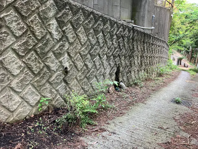 落ち葉そうじサービスの画像