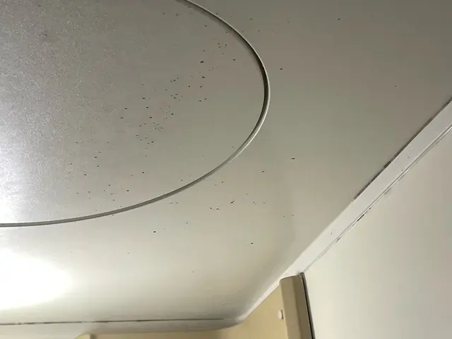 【大手業歴14年の実績】女性スタッフが、きめ細やかな作業でスッキリピカピカサービスの画像