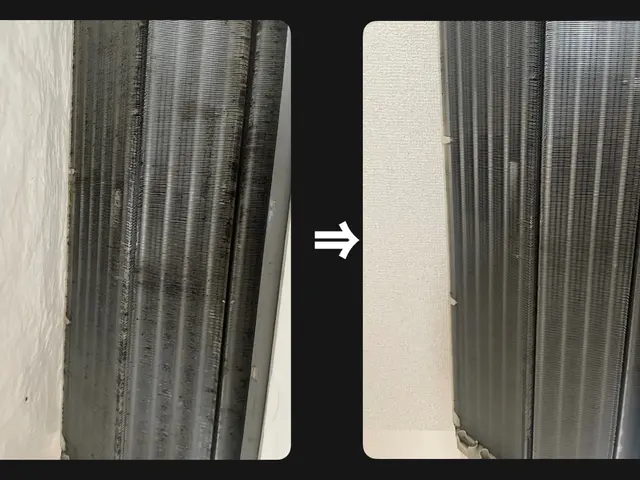 【急な依頼でもOK】掃除が趣味の25歳！爽やかなスタッフが対応致します！サービスの画像