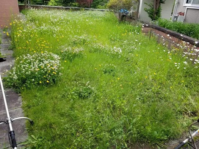 プロの技術でご満足いただけるように心を込めて作業いたしますサービスの画像