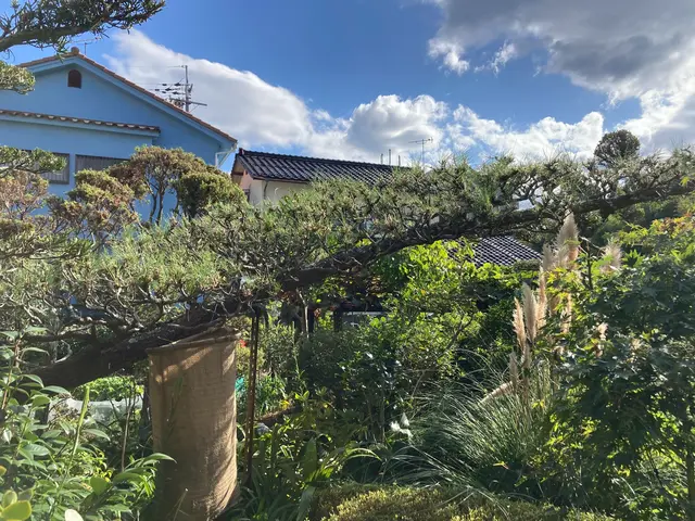 職人っぽくないフランクな対応が売りです！当日対応可能な剪定サービスサービスの画像