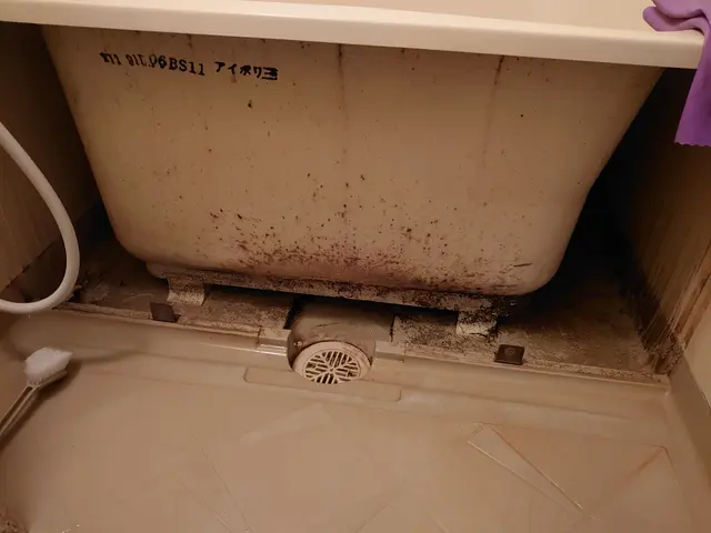 ピカピカお風呂にいたします☆今だけエプロン内部無料サービス！サービスの画像