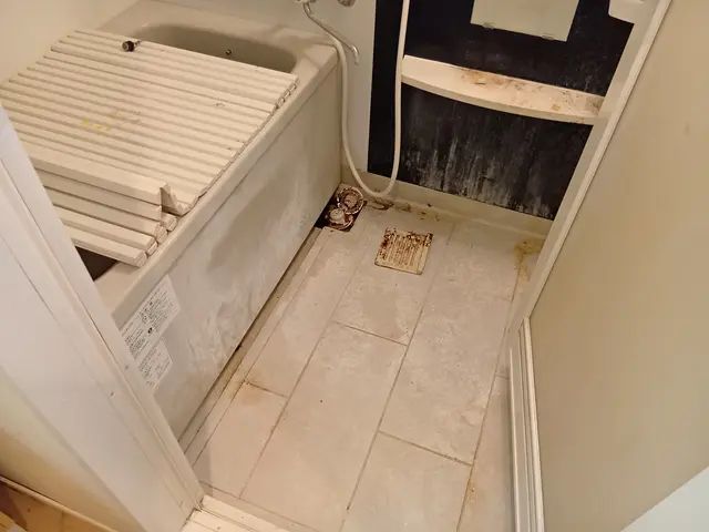 空室清掃！徹底清掃・簡易清掃どちらも可能です♪その他もご相談下さい。サービスの画像