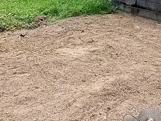 【松山市から訪問】店長自ら対応！損害保険加入済み！サービスの画像