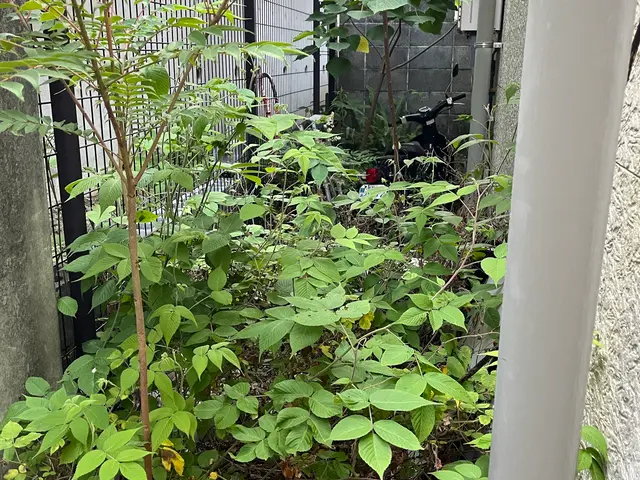 【お庭のお手入れお任せください！】損害保険加入◎有料駐車場代は当店で負担◎サービスの画像