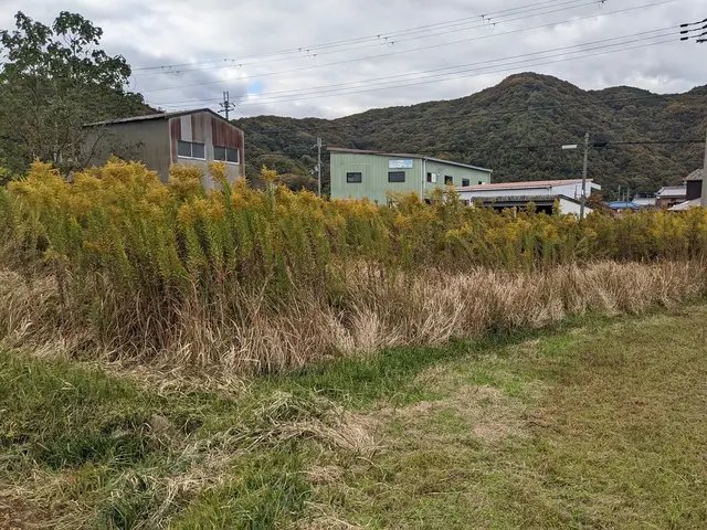 フレールモアで耕作放棄地の草刈り！サービスの画像