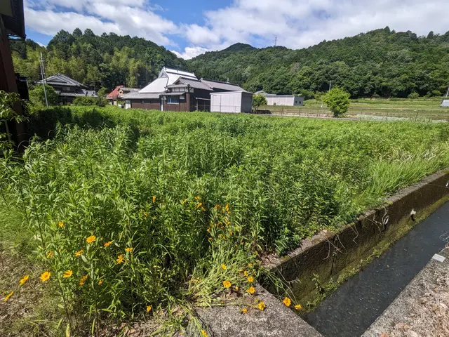 フレールモアで耕作放棄地の草刈り！サービスの画像