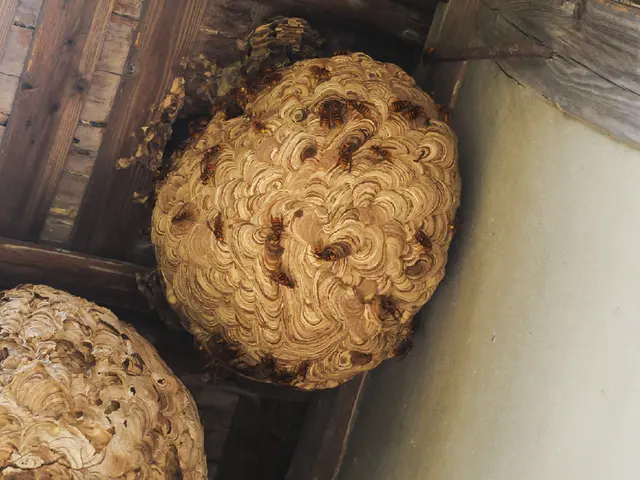 【即日対応可能！】【損害保険加入済み】安心してご依頼いただけます！サービスの画像