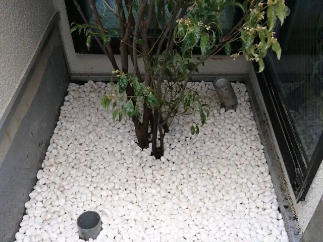 【親切・丁寧】作業外注一切なし！お庭のことはお任せください◎サービスの画像