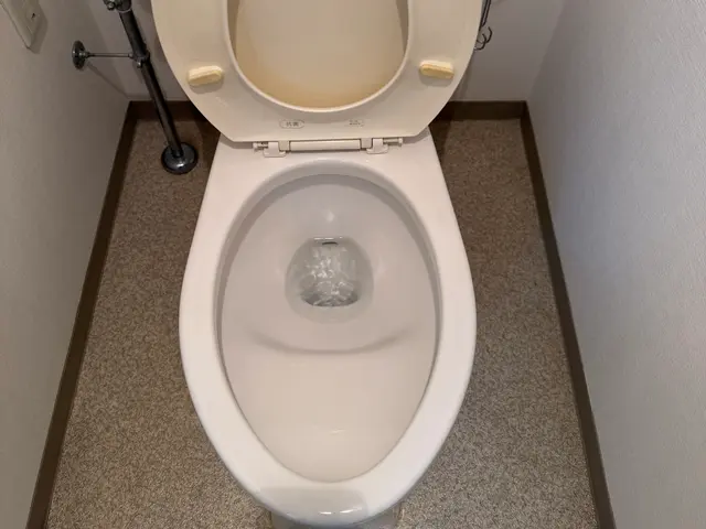 元プロキックボクサーの清掃！作業中のセキュリティー面はご安心下さいませ。サービスの画像