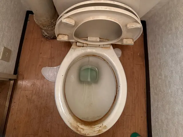 元プロキックボクサーの清掃！作業中のセキュリティー面はご安心下さいませ。サービスの画像