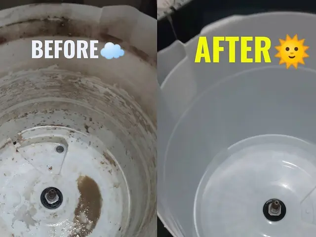 縦型洗濯機分解洗浄！黒カビ、洗剤カス除去サービスの画像