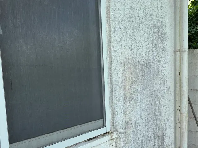 ハウスダストアレルギー経験者だからこそできる、綺麗な空間作り！サービスの画像