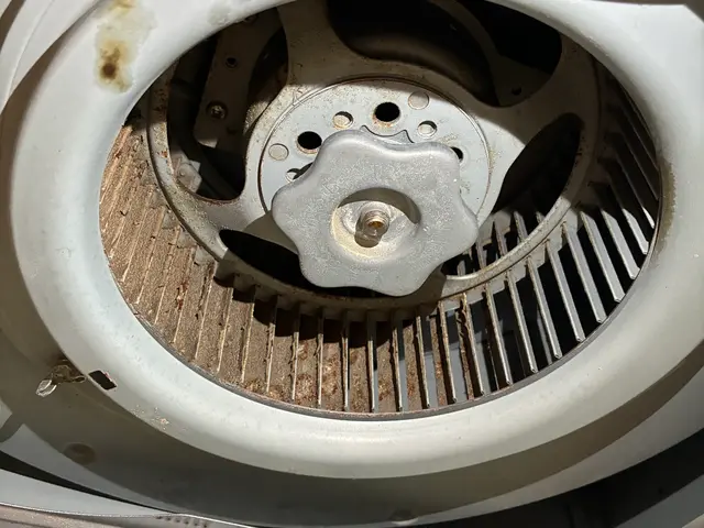 自分では落とせない汚れ、プロの技でスッキリ解決！換気力よみがえる！サービスの画像