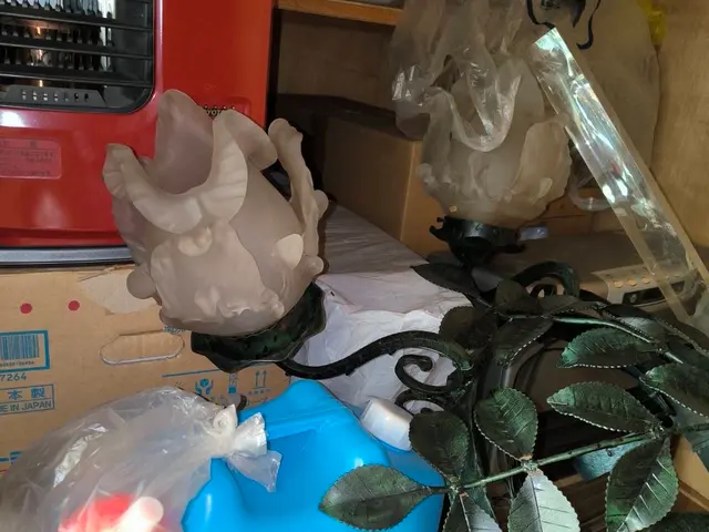 【業歴20年の実績】年中無休◎駐車場代当店負担◎女性スタッフ同行可能サービスの画像