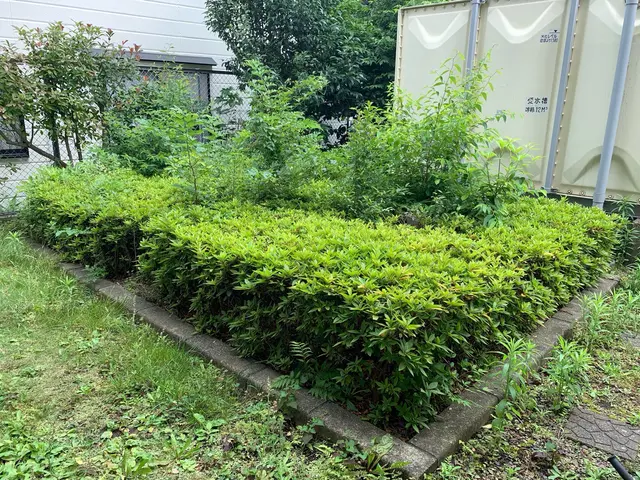 【土日祝対応可】一級造園技能士施工☆初回庭木消毒サービス無料★損害保険加入済サービスの画像