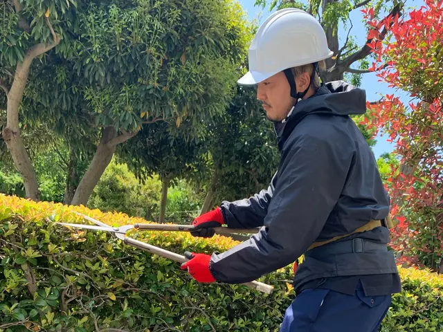 【土日祝対応可】一級造園技能士施工☆初回庭木消毒サービス無料★損害保険加入済サービスの画像