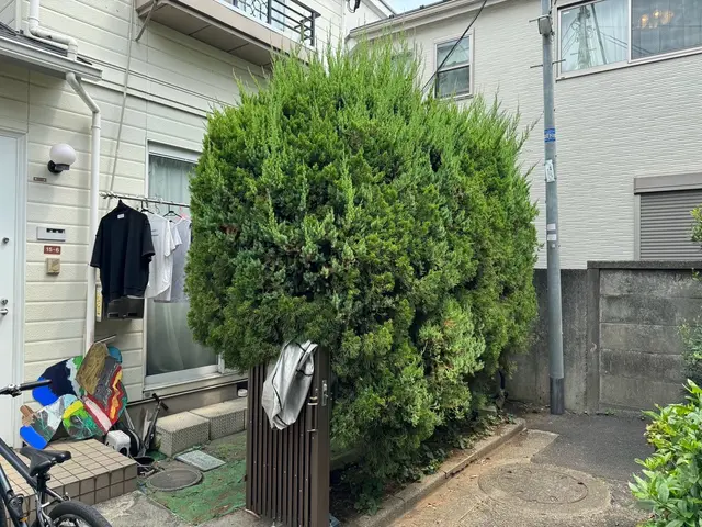 【土日祝対応可】一級造園技能士施工☆初回庭木消毒サービス無料★損害保険加入済サービスの画像