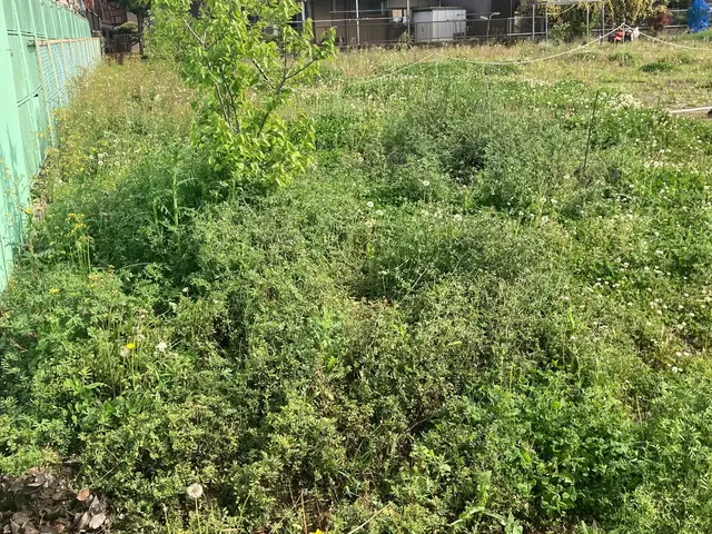 お客様のご要望に合わせた作業を致します！年間90件以上の実績。地域密着で安心☆サービスの画像